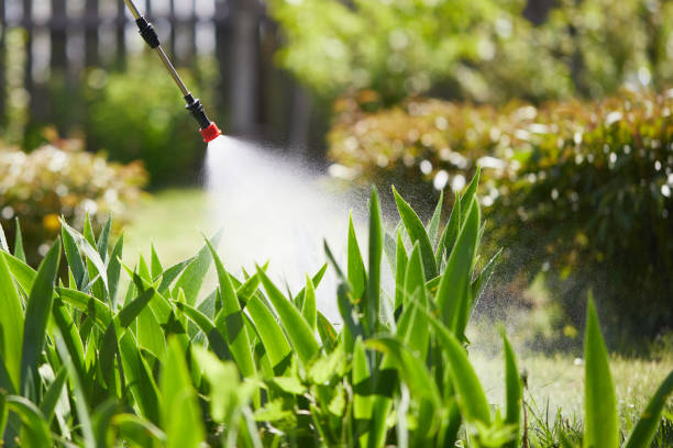 24/7 Emergency Cockroach Control experts in Harriman, TN