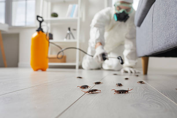 Trusted Termite Control service in Harriman, TN - Nex Pest Control
