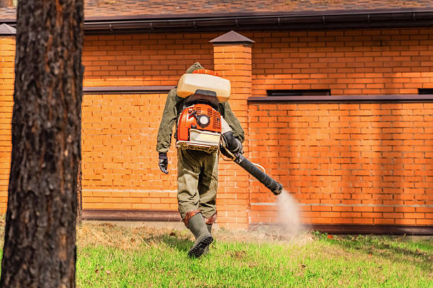 Trusted Emergency Pest Control service in Harriman, TN - Nex Pest Control